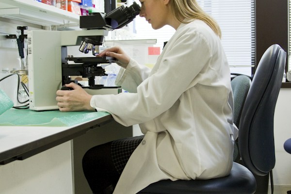 Lab Findings